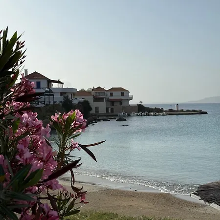 Marialena Αρχάγγελος