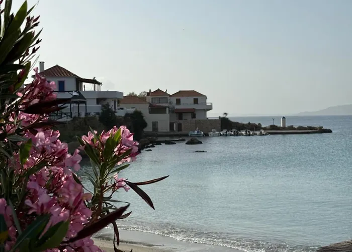 Marialena أركانجيلوس